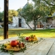 Villa Sopra i Sassi - Esterni -Giardino con ulivi